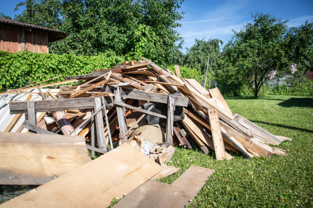Best Basement Cleanout  in Vamo, FL